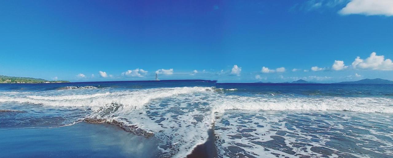 Grande Anse - Les Cocotiers Bed and Breakfast Trois-Rivières Εξωτερικό φωτογραφία